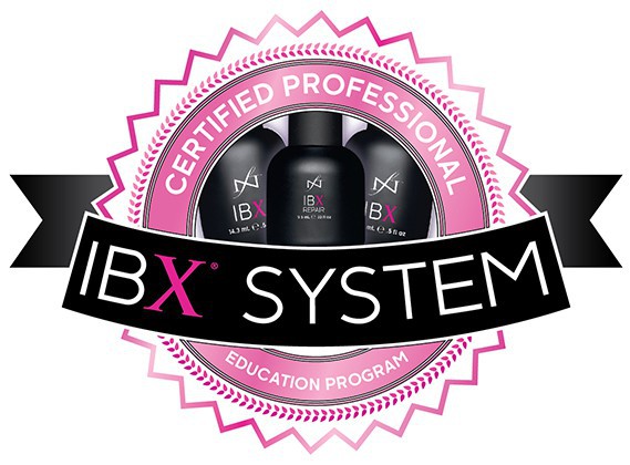 IBX System workshops