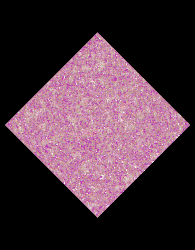 Upvoted Disco Dolly 15 ml