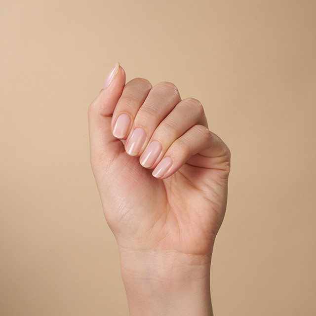 Shellac Of The Moment Shellac Of The Moment