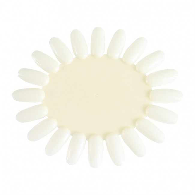 NAIL PERFECT Colorwheel natural