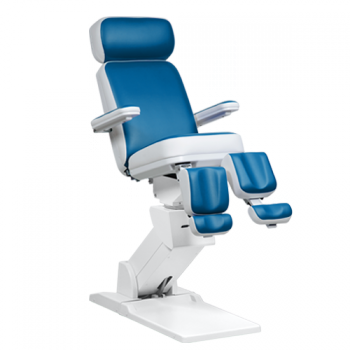 NWT Millenium Chair