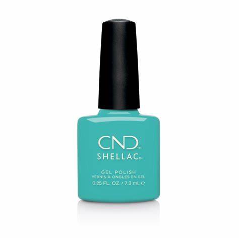 Shellac Oceanside Shellac Oceanside