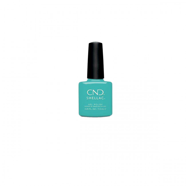 Shellac Oceanside