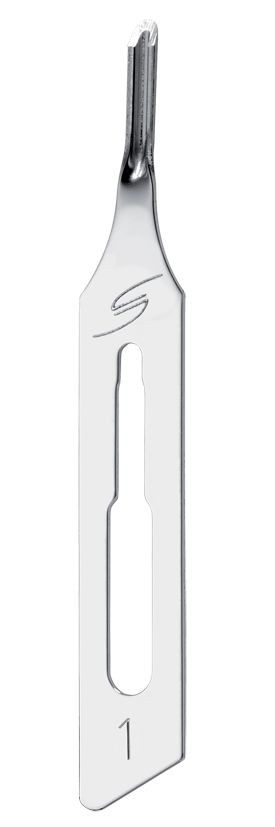 Holle beitel maat 1 per 20 stuks