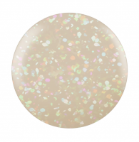 Shellac Off The Wall