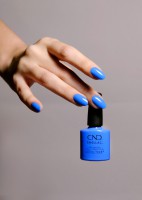 Shellac Motley Blue