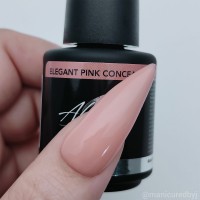 Abstract S-Gel Elegant Pink Concealer
