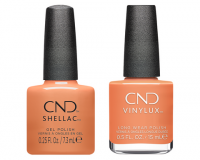 Shellac Daydreaming
