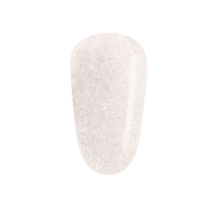 Shellac Winter Warrior