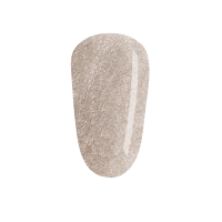 Shellac Day To Knight