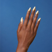 Shellac Gold Hardware