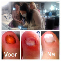 Workshop LCN Wilde Pedique 17 november 2025  DRONGEN