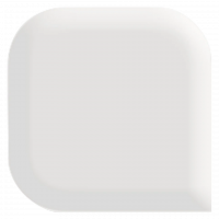 Nail Perfect ACRYLIC POWDER CLEAR 25 g