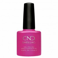 Shellac Tutti Frutti