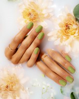 Gelish Leaf It All Behind 15 ml