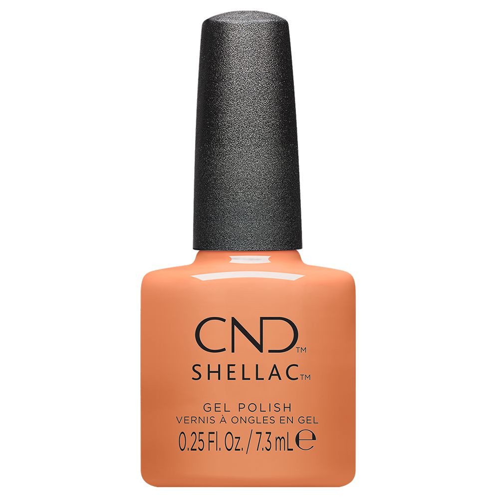 Shellac Daydreaming Shellac Daydreaming
