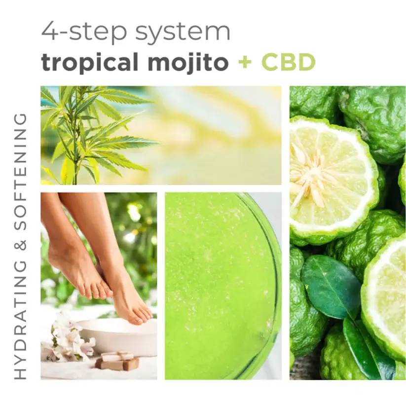 4-step-system-tropical-mojito-and-cbd_67a75ec2-9f56-4003-ba6a-5de385e6f626.webp