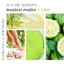 4-step-system-tropical-mojito-and-cbd_67a75ec2-9f56-4003-ba6a-5de385e6f626.webp