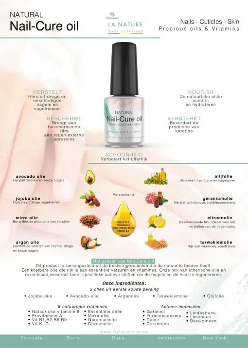 flyer-nederlands-510x716.webp