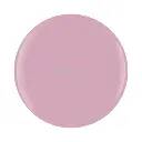 1110604-thorn-to-be-wild-2-550x550.webp