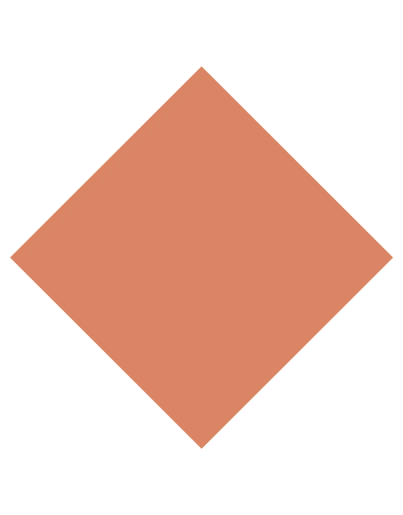 flash.webp