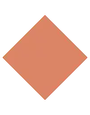 flash.webp