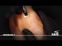 youtube - [Video]