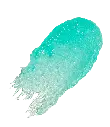 Scrub (9).webp
