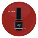 Abstract Brush N' Color ROSANNA 10ml