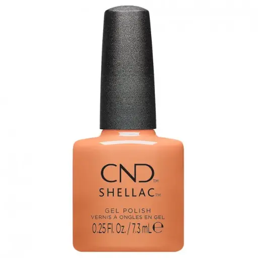 [639370016108] SHELLAC Daydreaming 7,3ml