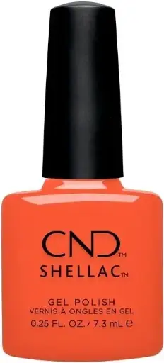 [639370016702] SHELLAC Ig-Night-Ed  7,3ml