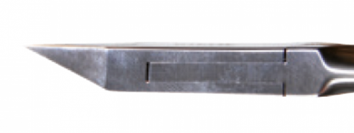 [3050105316] Kiehl pince plate 10 cm